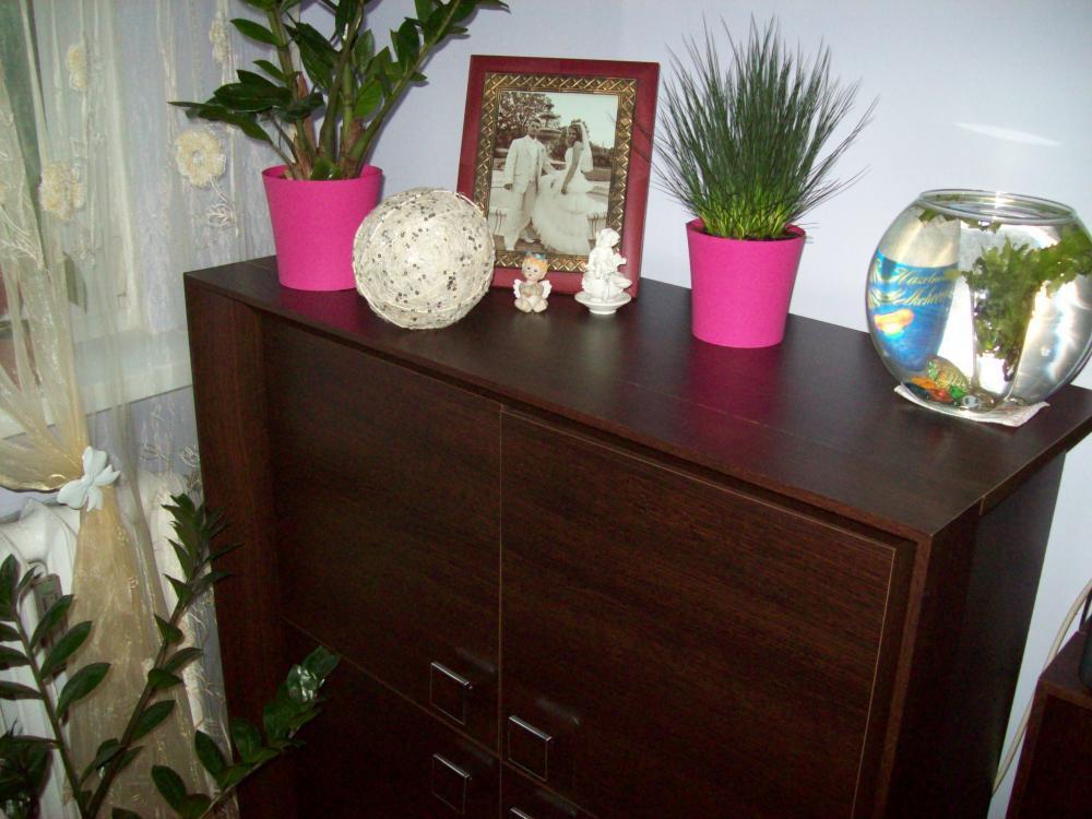 W moim domku, zdjęcie 4