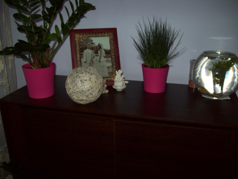 W moim domku, zdjęcie 2