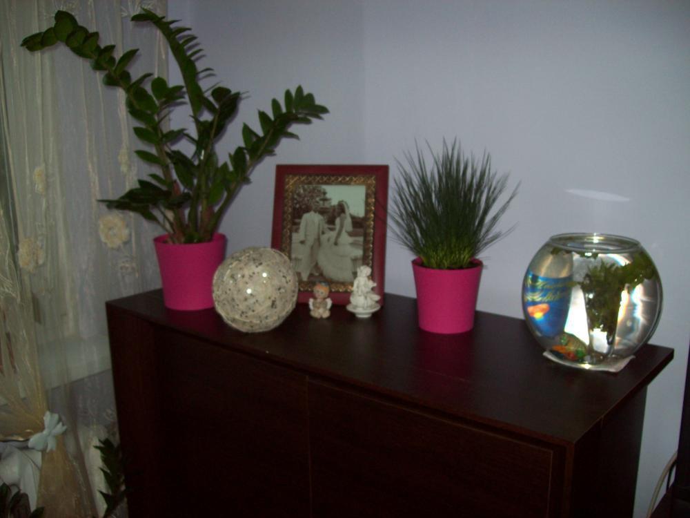 W moim domku, zdjęcie 3