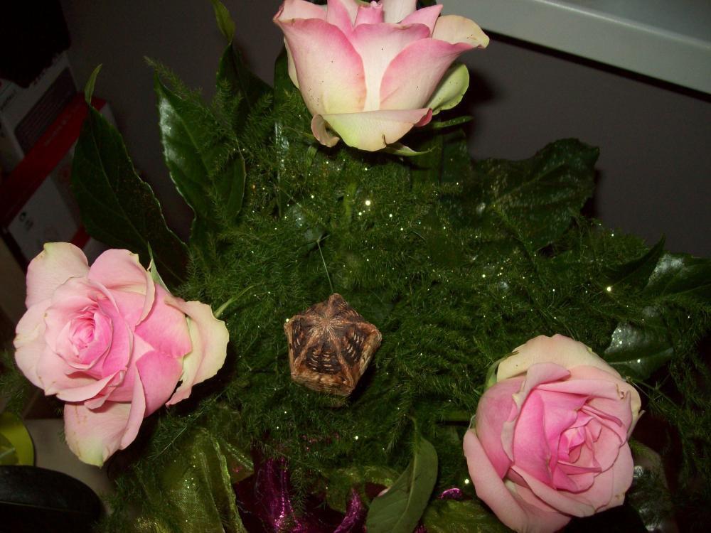 Moje bukiety, zdjęcie 2