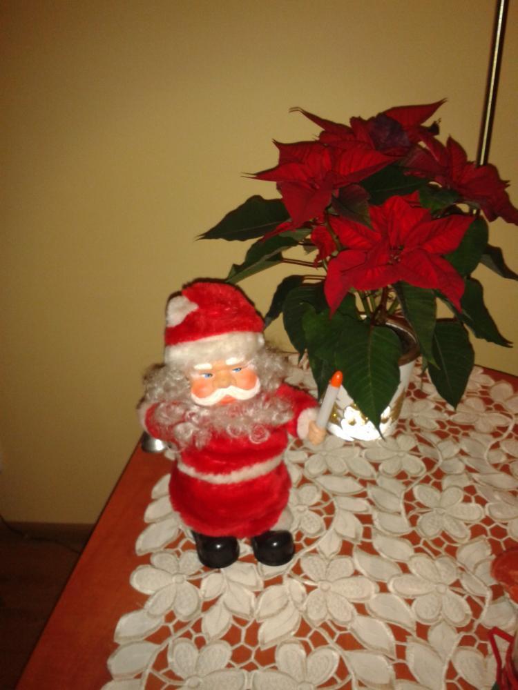 święta w moim domu, zdjęcie 1