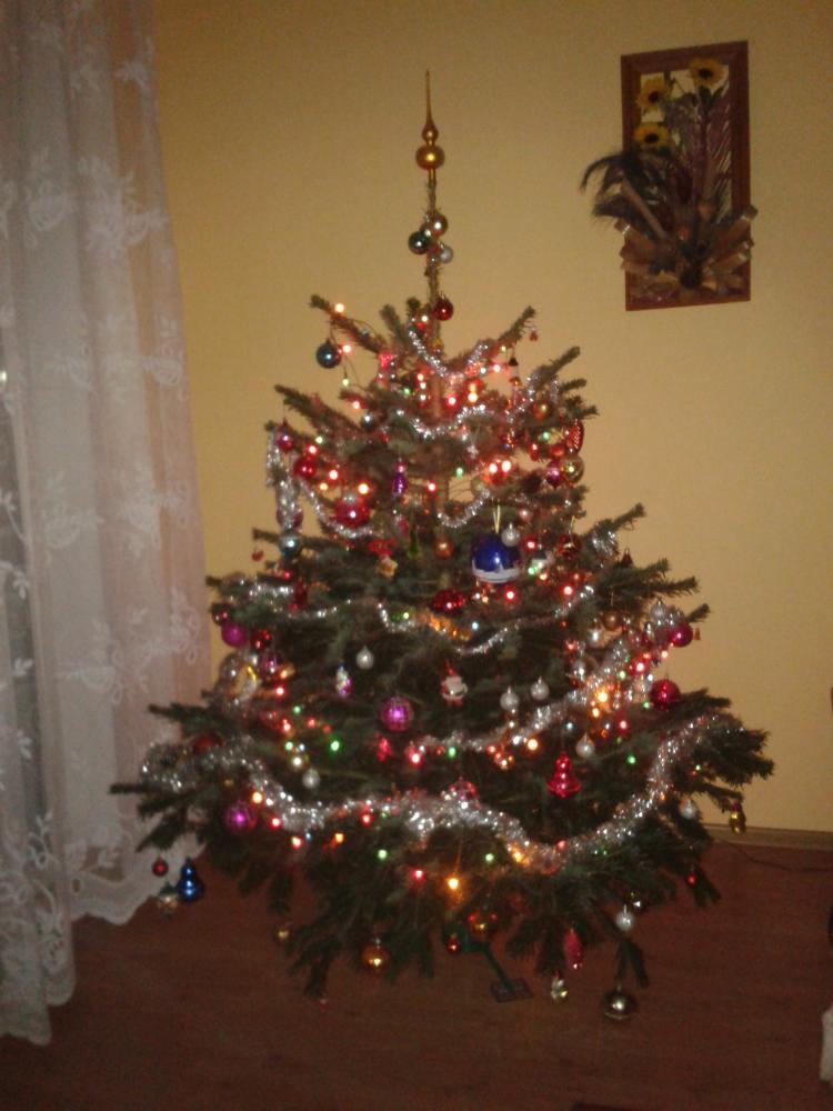 święta w moim domu, zdjęcie 5