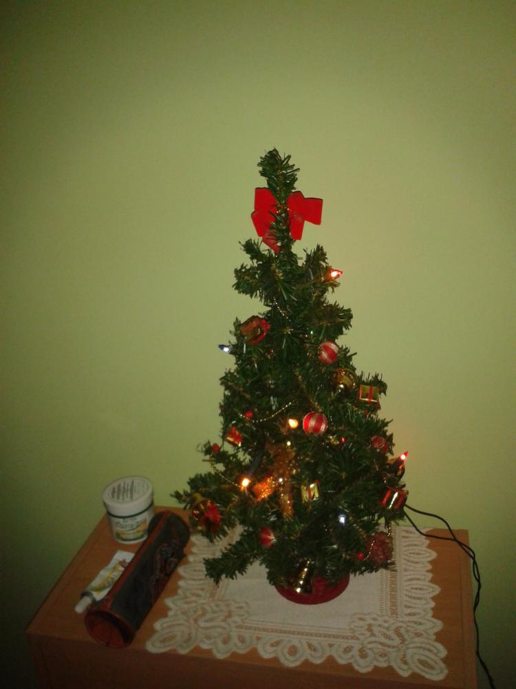 święta w moim domu, zdjęcie 7