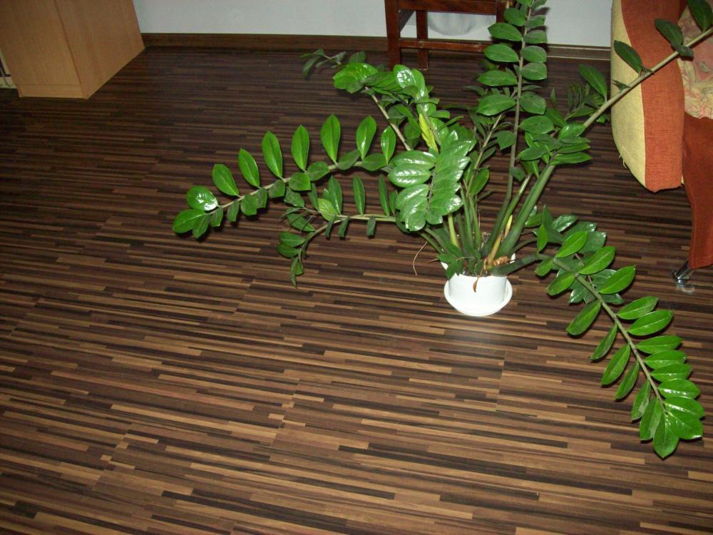 WOODSTOCK LONGITUDINAL- najpiękniejsze panele, zdjęcie 5