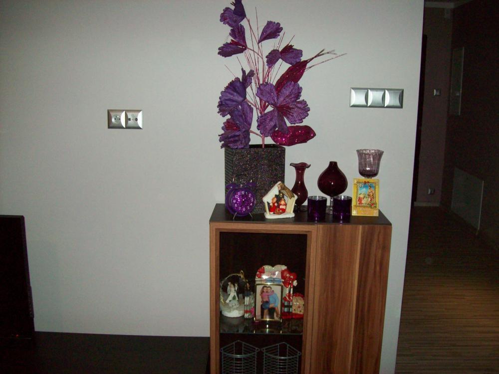 W naszym salonie, zdjęcie 9