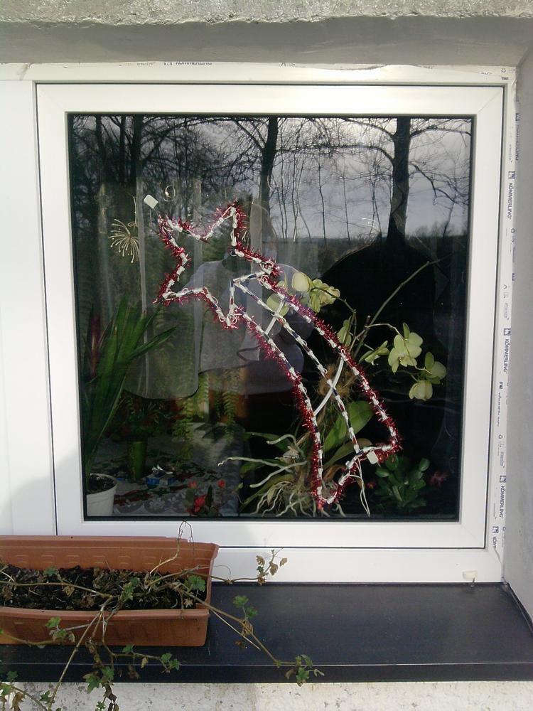 POCZĄDKI PRZYGOTOWAŃ ŚWIĄTECZNYCH :>, zdjęcie 3