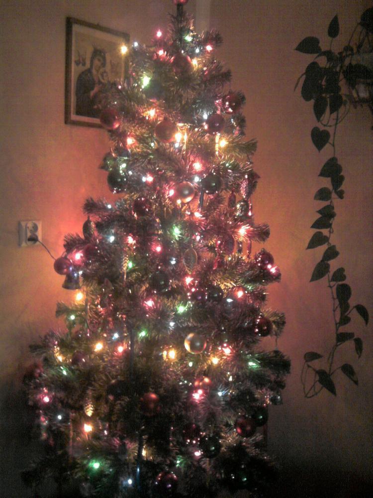 POCZĄDKI PRZYGOTOWAŃ ŚWIĄTECZNYCH :>, zdjęcie 5