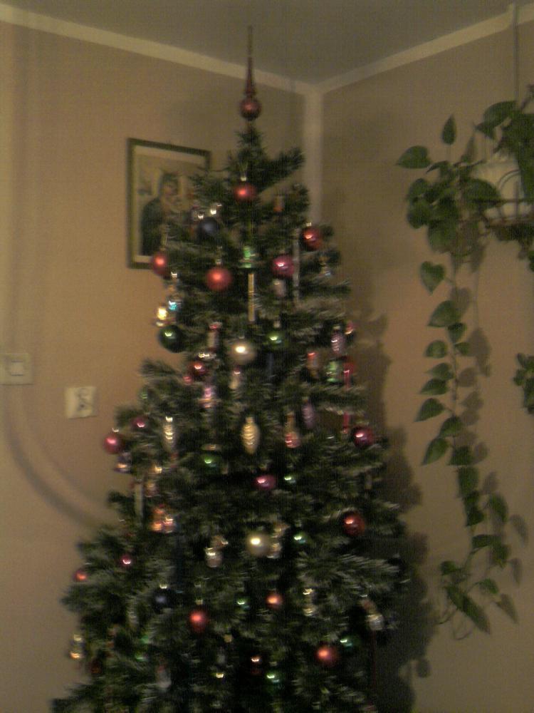 POCZĄDKI PRZYGOTOWAŃ ŚWIĄTECZNYCH :>, zdjęcie 6