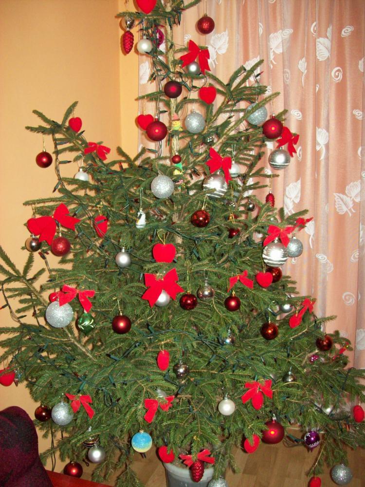 Choinka w pokoju mamusi, zdjęcie 7