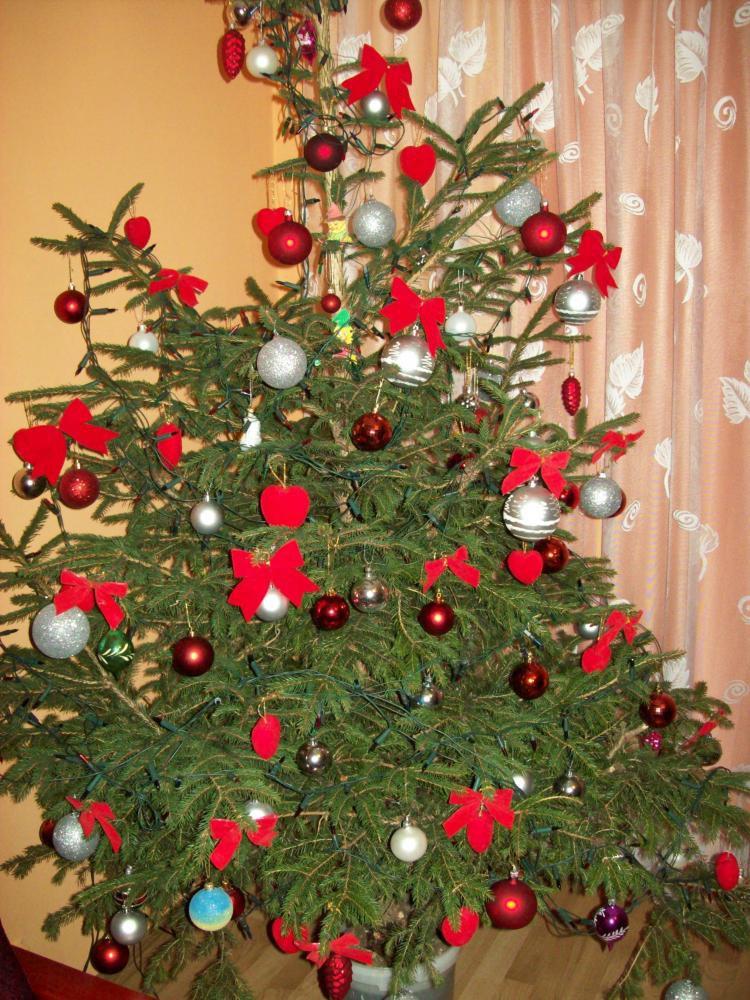 Choinka w pokoju mamusi, zdjęcie 8