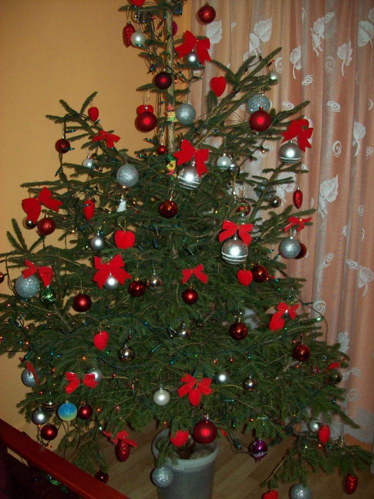 Choinka w pokoju mamusi, zdjęcie 5