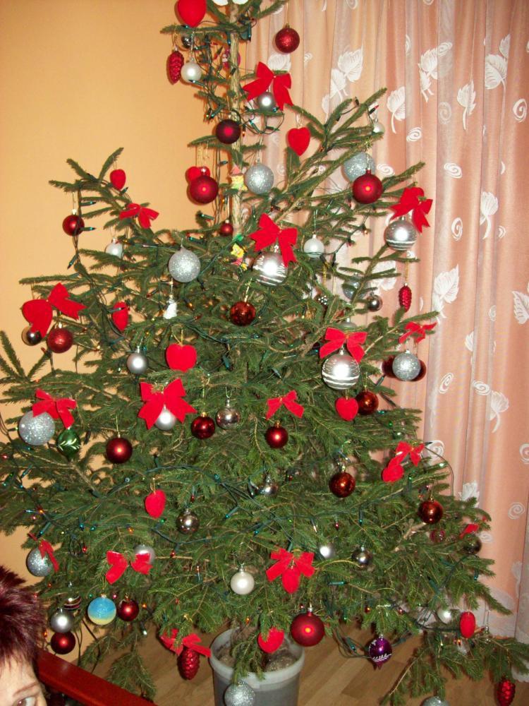 Choinka w pokoju mamusi, zdjęcie 2