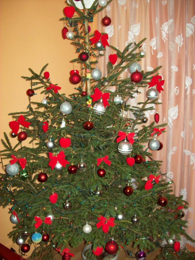 Choinka w pokoju mamusi, zdjęcie 3