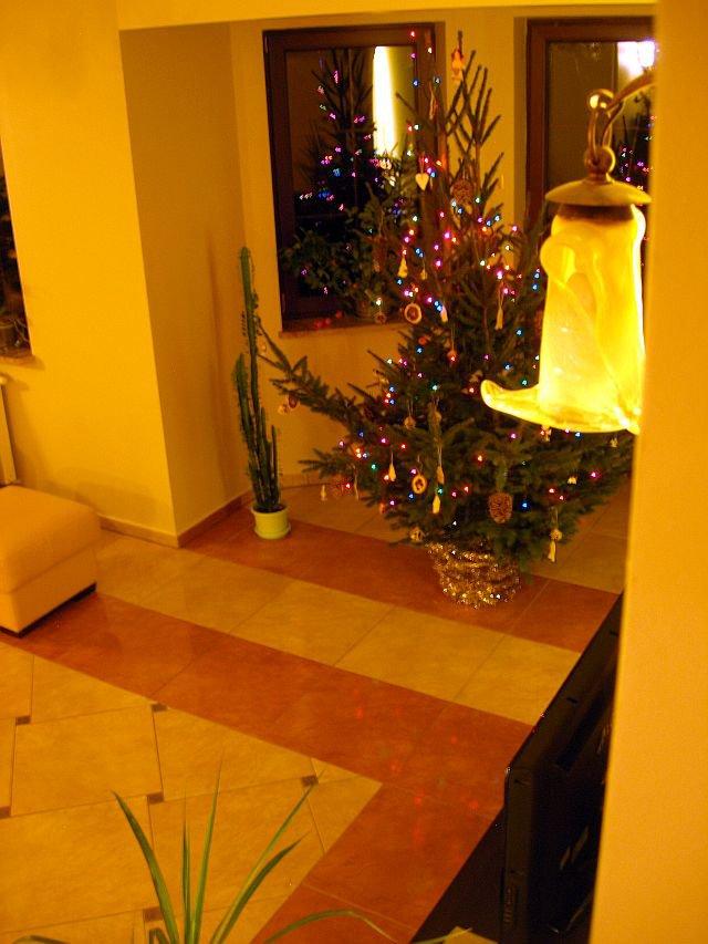 Święta w naszym magicznym domku, zdjęcie 16