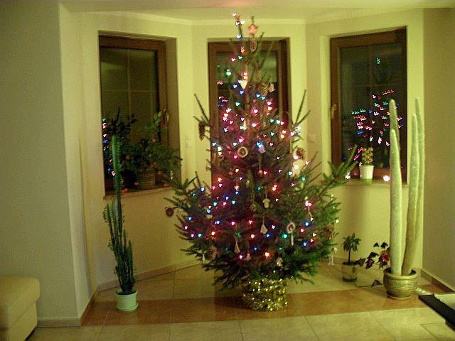 Święta w naszym magicznym domku, zdjęcie 6