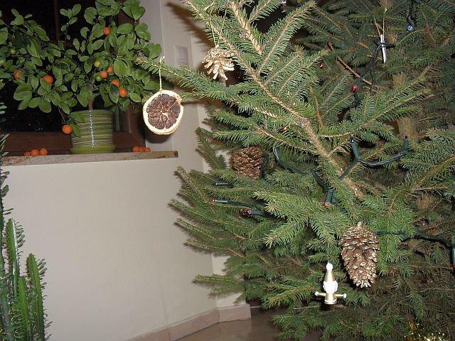 Święta w naszym magicznym domku, zdjęcie 18