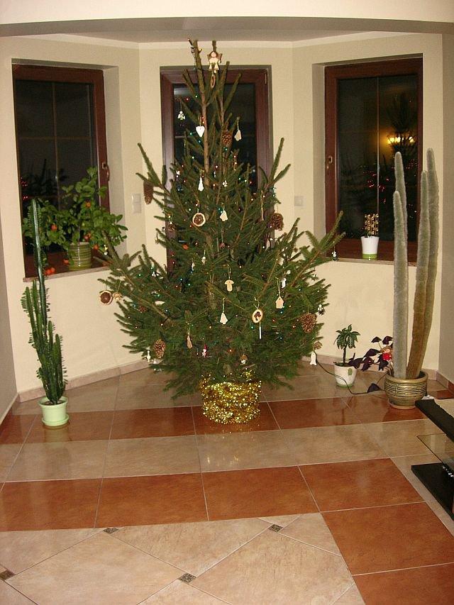 Święta w naszym magicznym domku, zdjęcie 2