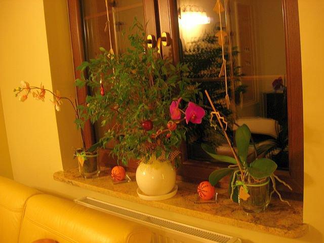 Święta w naszym magicznym domku, zdjęcie 10