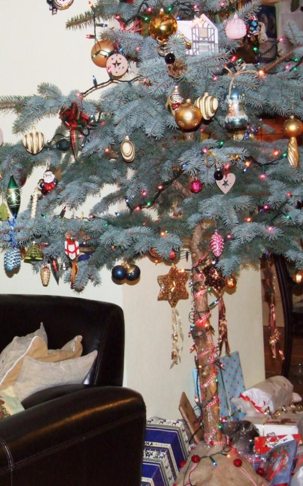 W moim magicznym domu - konkurs, zdjęcie 4