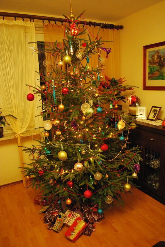 Swięta w domu moich rodziców, zdjęcie 4