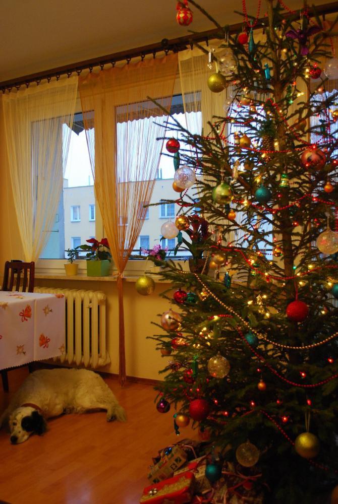 Swięta w domu moich rodziców, zdjęcie 3