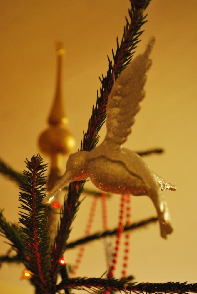 Swięta w domu moich rodziców, zdjęcie 5