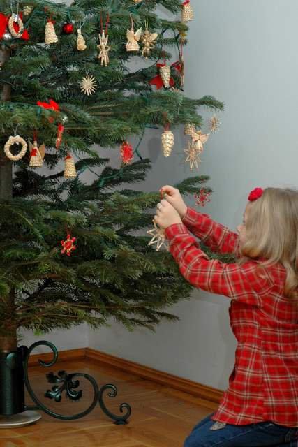 tradycyjnie barwy świąt , zdjęcie 14