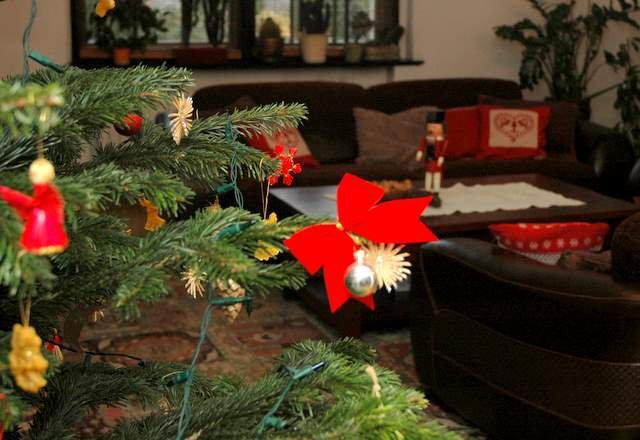 tradycyjnie barwy świąt , zdjęcie 8