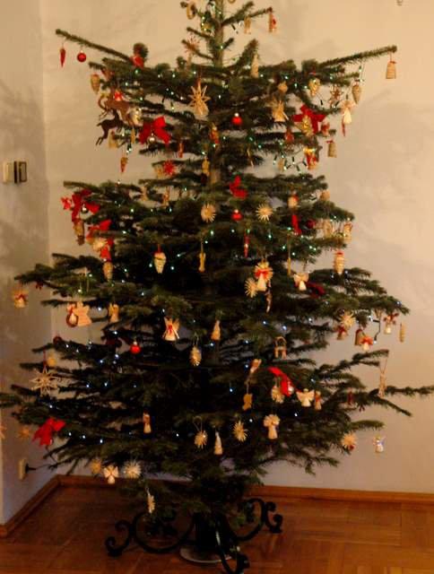 tradycyjnie barwy świąt , zdjęcie 3