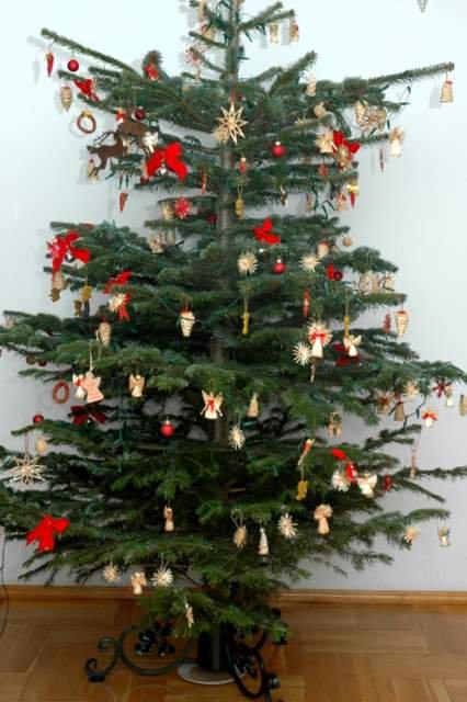 tradycyjnie barwy świąt , zdjęcie 6