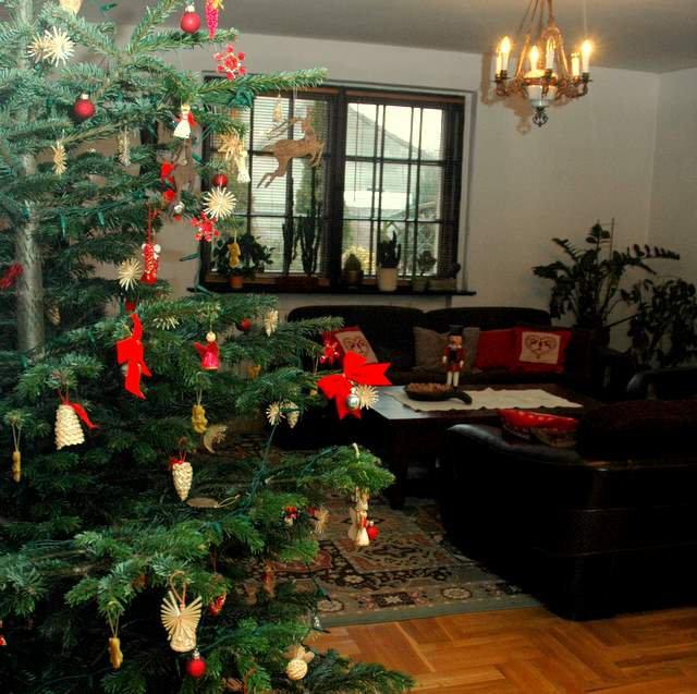 tradycyjnie barwy świąt , zdjęcie 10