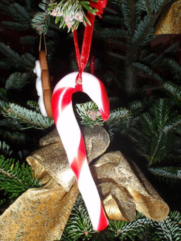 "W moim magicznym domu", zdjęcie 2