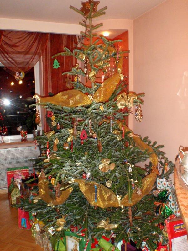 "W moim magicznym domu", zdjęcie 6