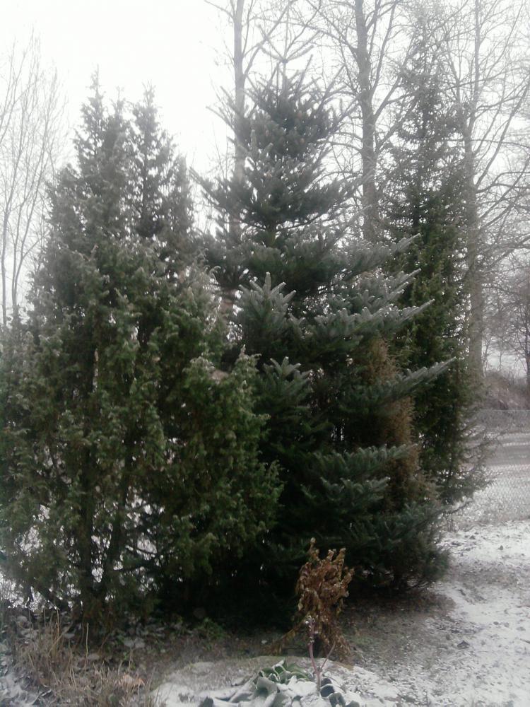 mój magiczny dom, zdjęcie 5