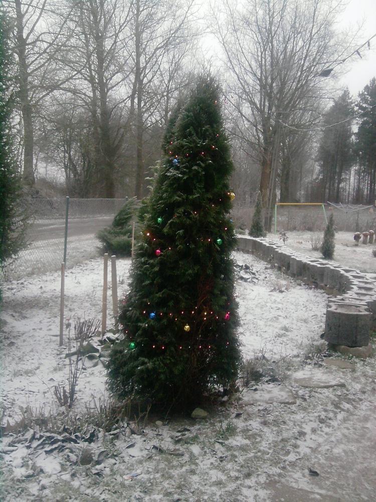 mój magiczny dom, zdjęcie 10