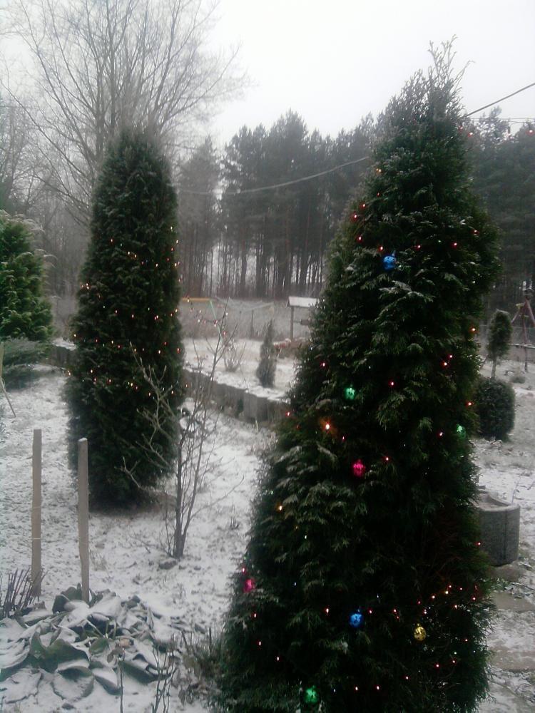 mój magiczny dom, zdjęcie 9