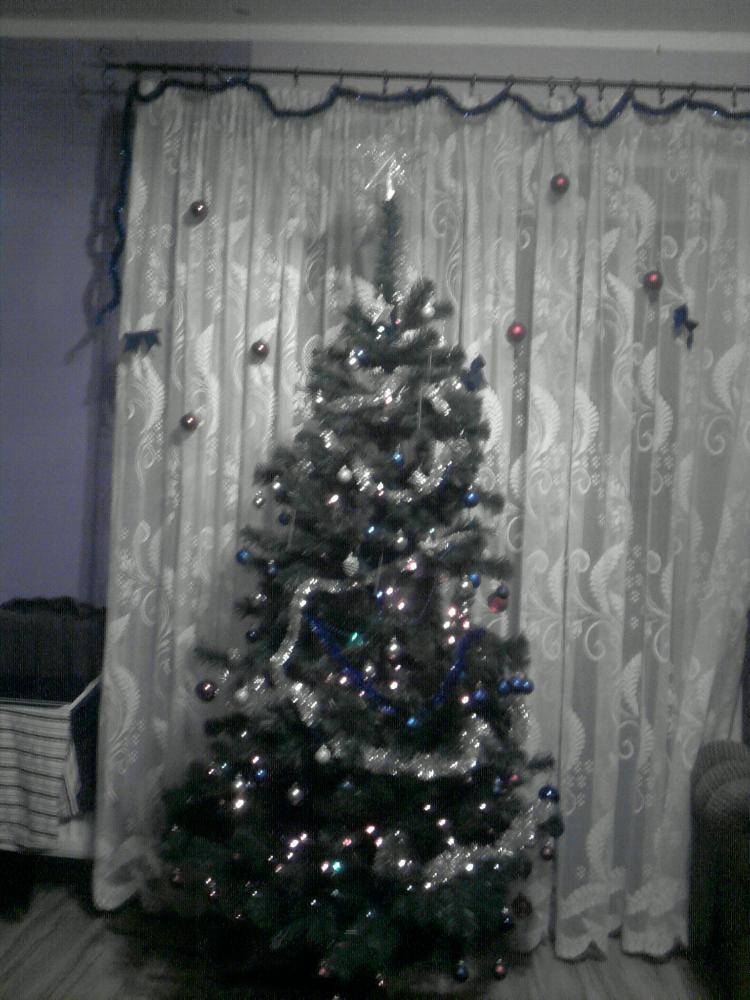 mój magiczny dom, zdjęcie 1