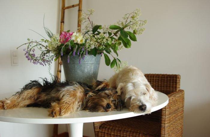 Tutaj czuje piękno, zdjęcie 3