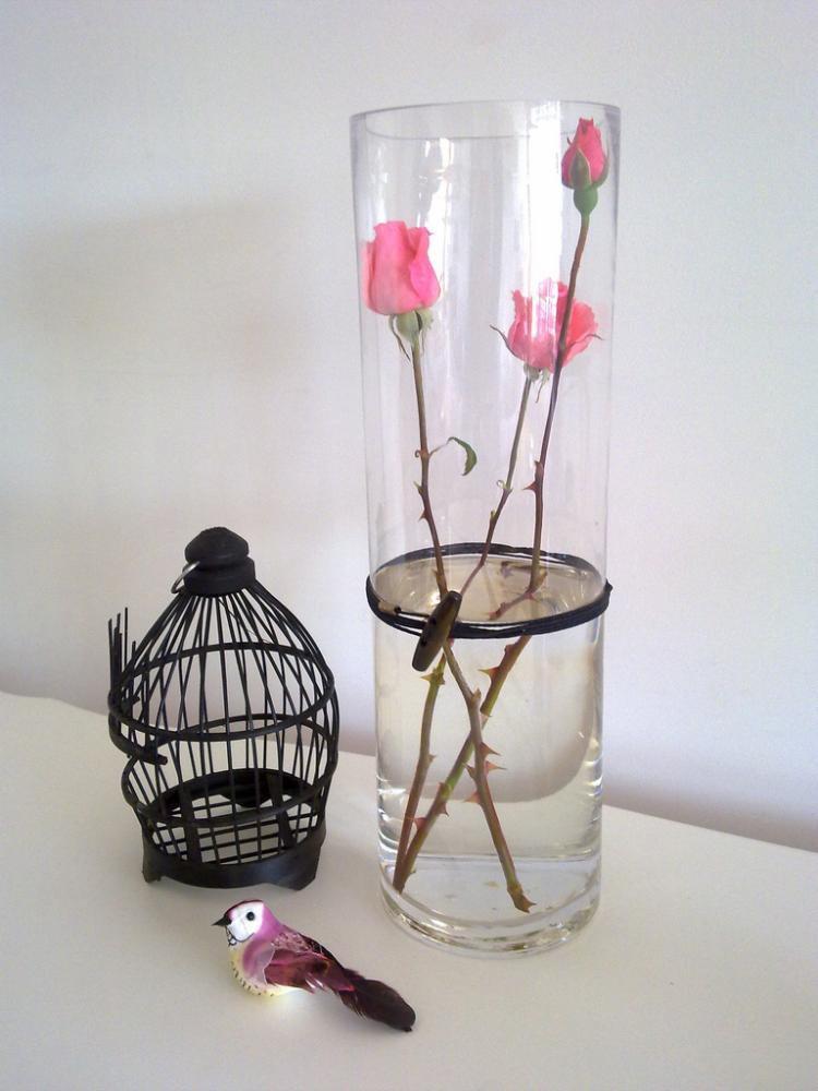 Tutaj czuje piękno, zdjęcie 1