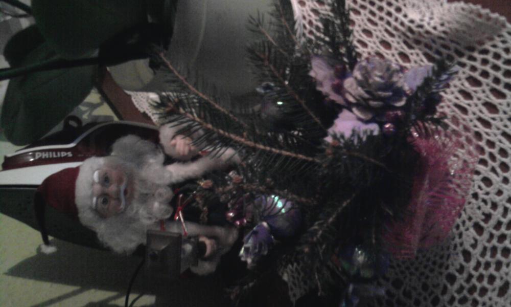 moje podwórko i nie tylko podczas świąt , zdjęcie 15