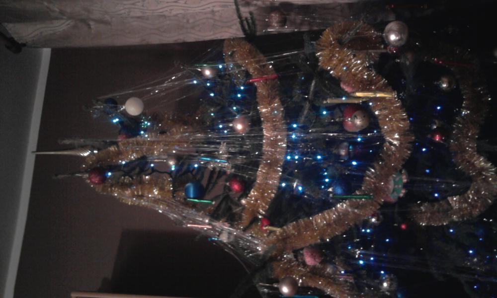 moje podwórko i nie tylko podczas świąt , zdjęcie 19