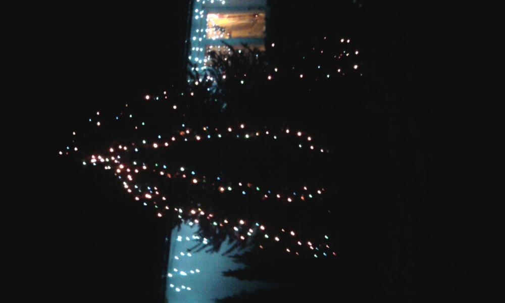 moje podwórko i nie tylko podczas świąt , zdjęcie 6