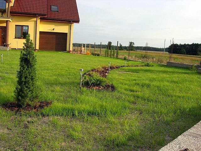 Wspomnienie lata, czyli zakładanie ogrodu, zdjęcie 10