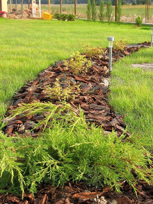 Wspomnienie lata, czyli zakładanie ogrodu, zdjęcie 3