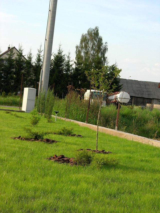 Wspomnienie lata, czyli zakładanie ogrodu, zdjęcie 5