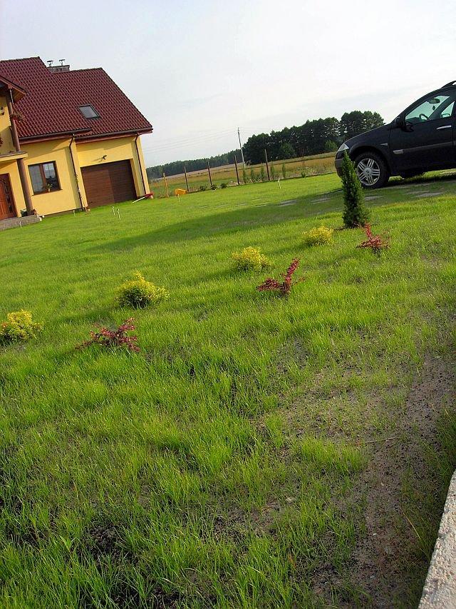 Wspomnienie lata, czyli zakładanie ogrodu, zdjęcie 6