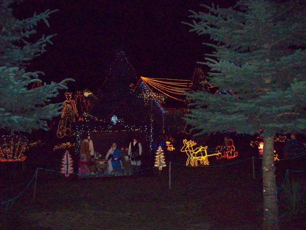 W moim magicznym domu- konkurs, zdjęcie 26