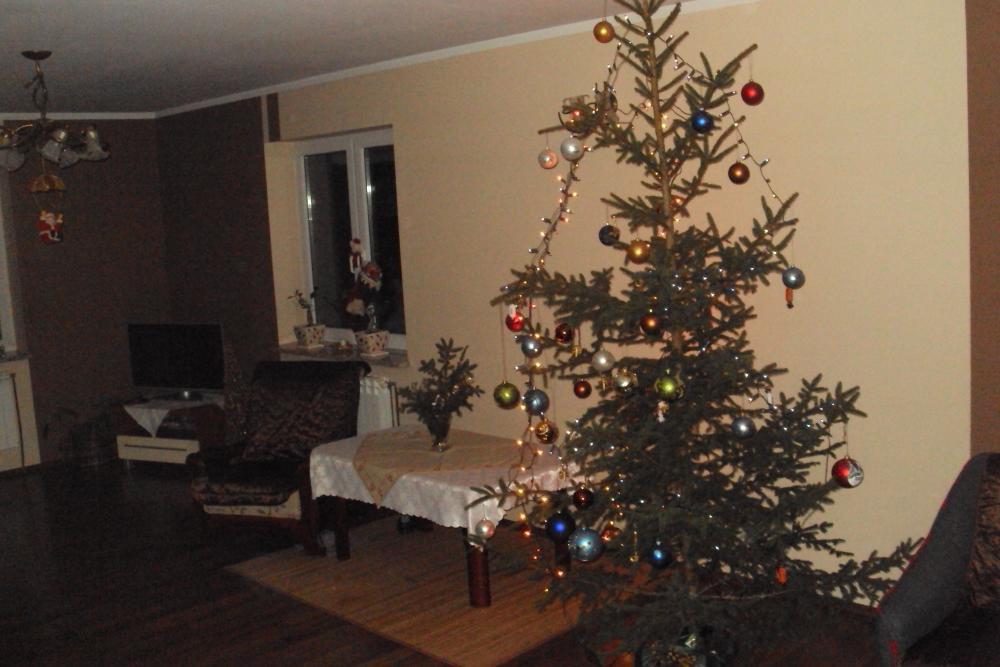 "W moim magicznym domu"drugim, zdjęcie 6