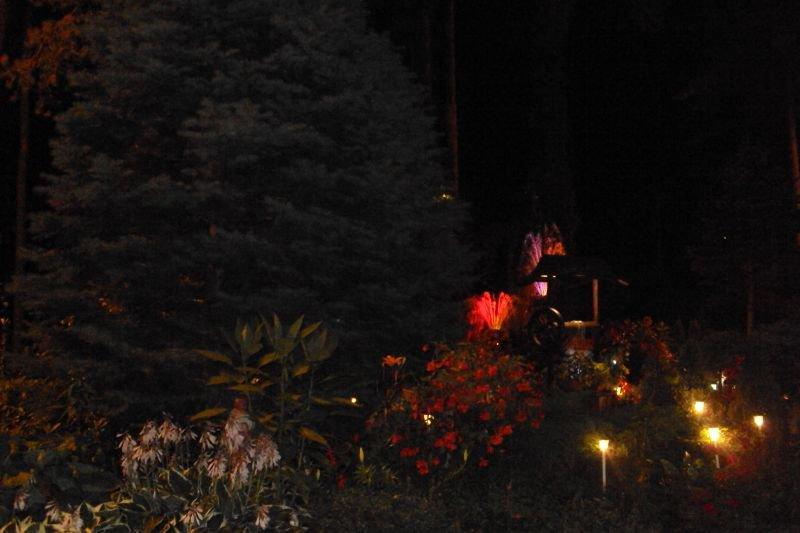 Jak tak fajnie popatrzeć znowu na latoo, zdjęcie 3