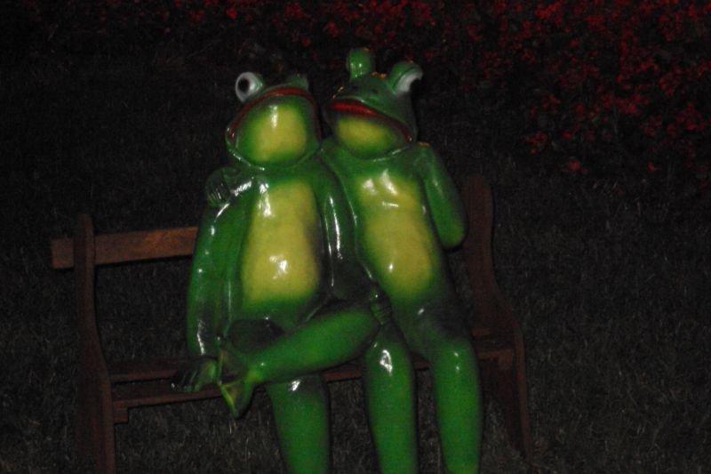 Jak tak fajnie popatrzeć znowu na latoo, zdjęcie 1